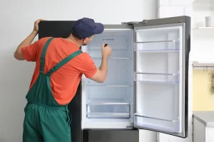 نمایندگی تعمیرات ساید بای ساید فریجیدر